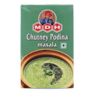 MDH - Chutney Masala Podina Spice Mix 10X100G