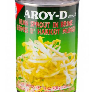 AROY-D BEAN SPROUT IN BRINE CAN 24X400G
